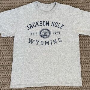 Gray Jackson Hole Wyoming T-Shirt Men’s Medium Cotton Travel Tee